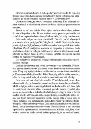 Ukázka