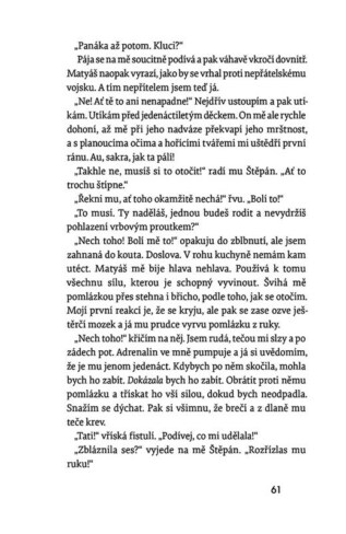 Ukázka