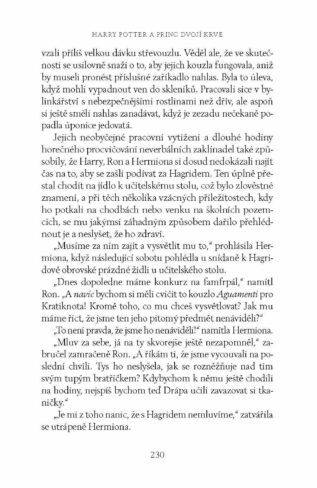 Ukázka