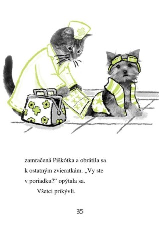 Ukázka