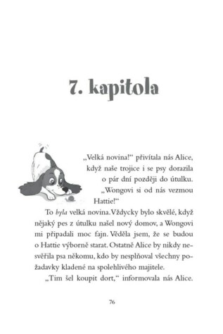 Ukázka