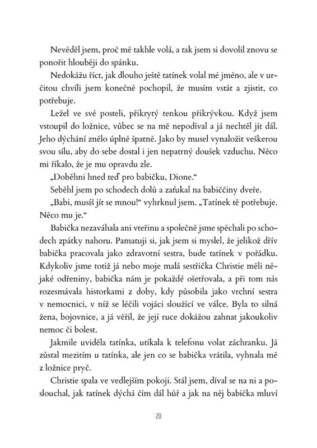 Ukázka