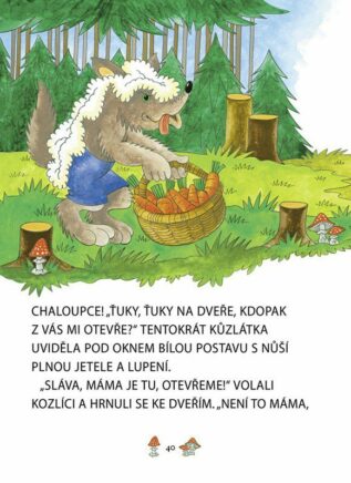 Ukázka