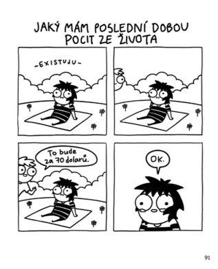 Ukázka
