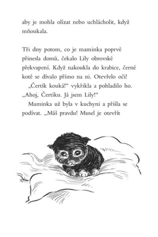 Ukázka