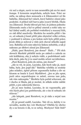 Ukázka