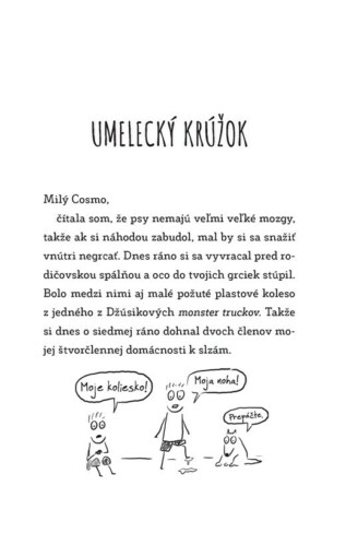 Ukázka