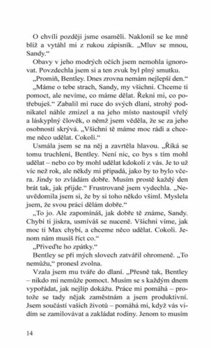 Ukázka