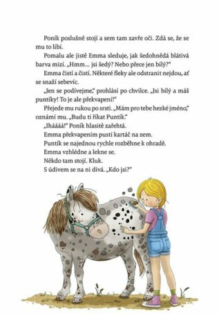 Ukázka