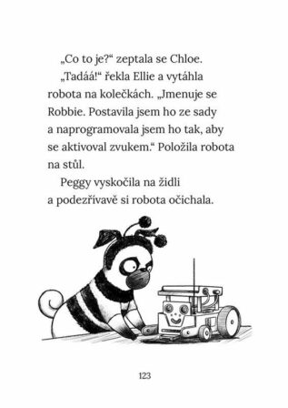 Ukázka