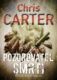 Pozorovatel smrti (e-kniha)