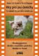 Hry pro psí čenichy - DVD