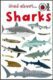 Mad About Sharks