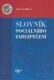 Slovník sociálního zabezpečení