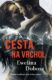 Cesta na vrchol (e-kniha)