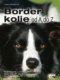 Border kolie od A do Z