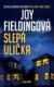 Slepá ulička (e-kniha)