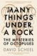 Many Things Under a Rock: The Mysteries of Octopuses
