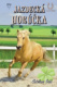 Jazdecká horúčka