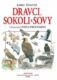 Dravci, sokoli a sovy