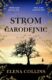 Strom čarodějnic (e-kniha)