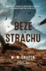 Beze strachu (e-kniha)