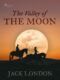 The Valley of the Moon (e-kniha)