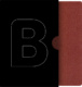 Bible 21
