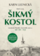 Šikmý kostol: románová kronika strateného mesta roky 1894–1921