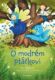 O modrém ptáčkovi (e-kniha)