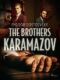 The Brothers Karamazov (e-kniha)