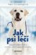 Jak psi léčí (e-kniha)