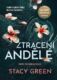 Ztracení andělé (e-kniha)
