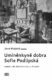 Umíněnkyně dobra Sofie Podlipská - Kapitola z dějin literárního midcultu 19. století