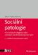Sociální patologie (e-kniha)