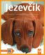 Jezevčík - Správná péče - Rady odborníků - Také pro začátečníky