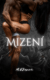 Mizení (e-kniha)