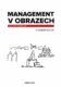 Management v obrazech (e-kniha)