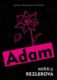 Adam (e-kniha)