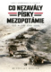 Co nezavály písky Mezopotámie