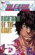 Bleach 5