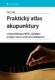 Praktický atlas akupunktury (e-kniha)
