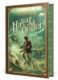 Harry Potter a Ohnivá čaša (slovensky)