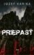 Priepasť (e-kniha)