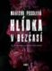 Hlídka v Bezčasí