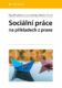 Sociální práce na příkladech z praxe (e-kniha)