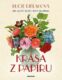 Krása z papíru (e-kniha)
