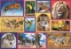 Puzzle Animal Planet Divoká příroda 1000 dílků