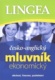 Česko-anglický mluvník ekonomický