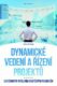 Dynamické vedení a řízení projektů - Systémovým myšlením k úspěšným projektům